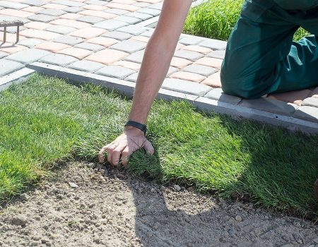 garten landschaftsbau 1